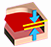 image-20260305-054553.png