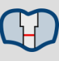 image-20240902-060148.png